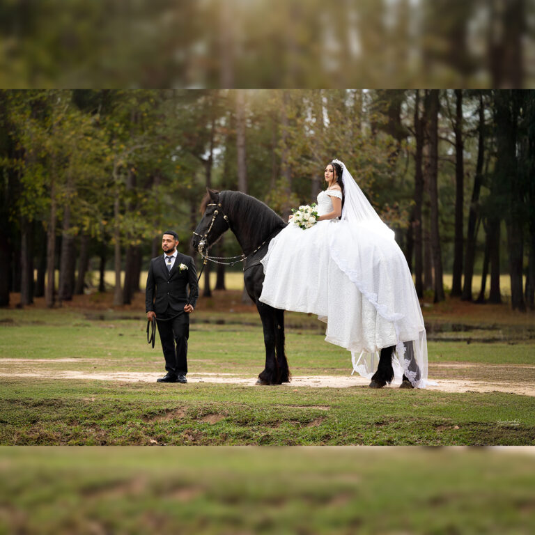bodas-103